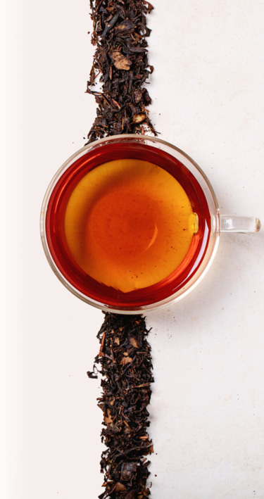 Nilgiri Tea Brewed Cup